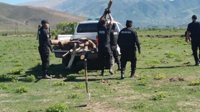 Jaldo insistió con el respeto a la propiedad privada: "No