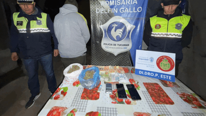 Iban por un electrodoméstico robado y hallaron una gran cantidad