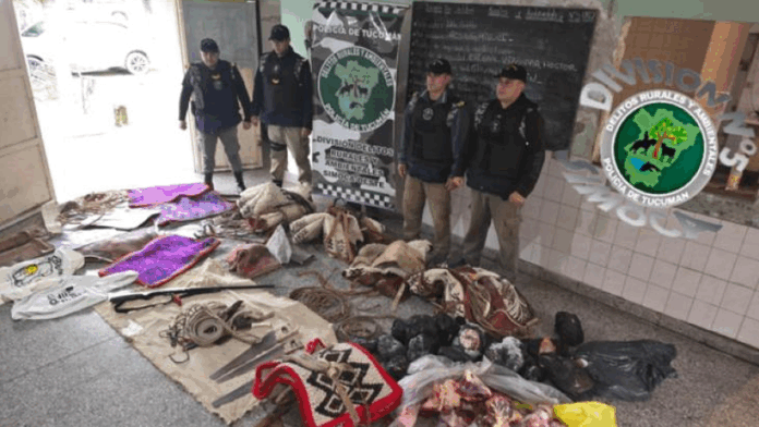 decomisan carne faenada y un arma de fuego