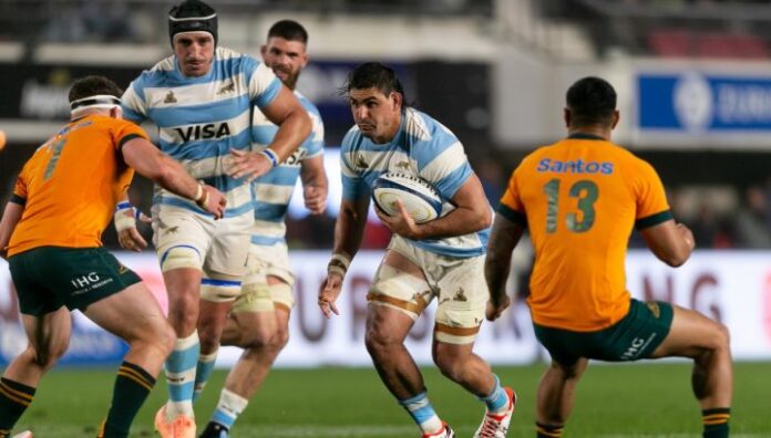 pumas-1864521