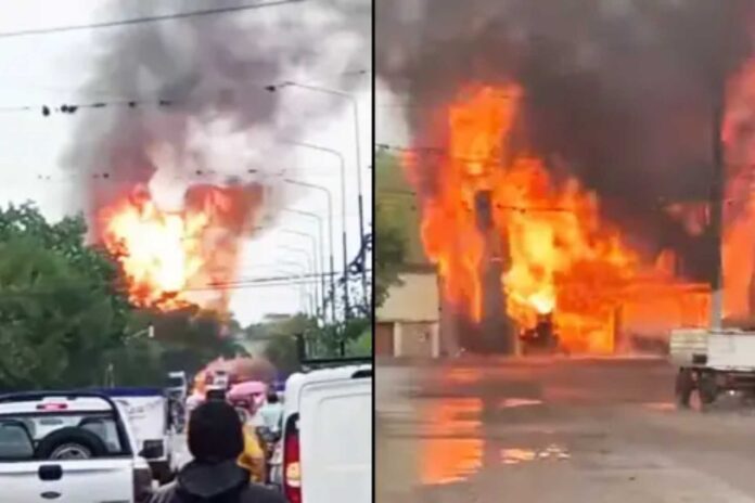 Diseño sin título (3)