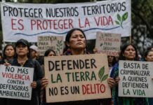Crean plataforma para visibilizar ataques a defensores ambientales en América Latina