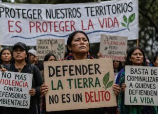 Crean plataforma para visibilizar ataques a defensores ambientales en América Latina