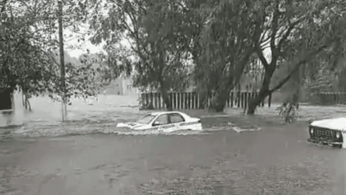 67cca9bcd643c_700_394! (1)