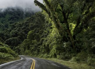Estado de las rutas en Tucumán tras las lluvias