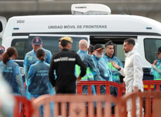 Alerta sanitaria en Canarias: brote de hantavirus en un crucero dejó tres muerto