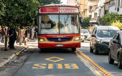 colectivos