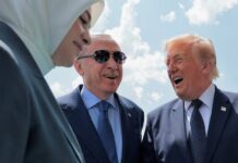 Tensión global: Trump reflotó su plan de quedarse con Groenlandia y sacudió a la OTAN