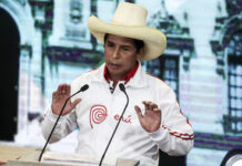 Expertos de la ONU consideran arbitraria la detención de Pedro Castillo en Perú