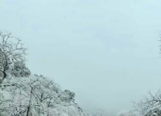 Ruta 307: interrumpen el tránsito entre Tafí del Valle y Amaicha por hielo