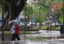 Alerta amarilla por tormentas en Tucumán: qué departamentos serán afectados