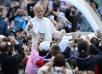León XIV retomó sus actividades y saludó a los fieles desde el papamóvil tras su operación